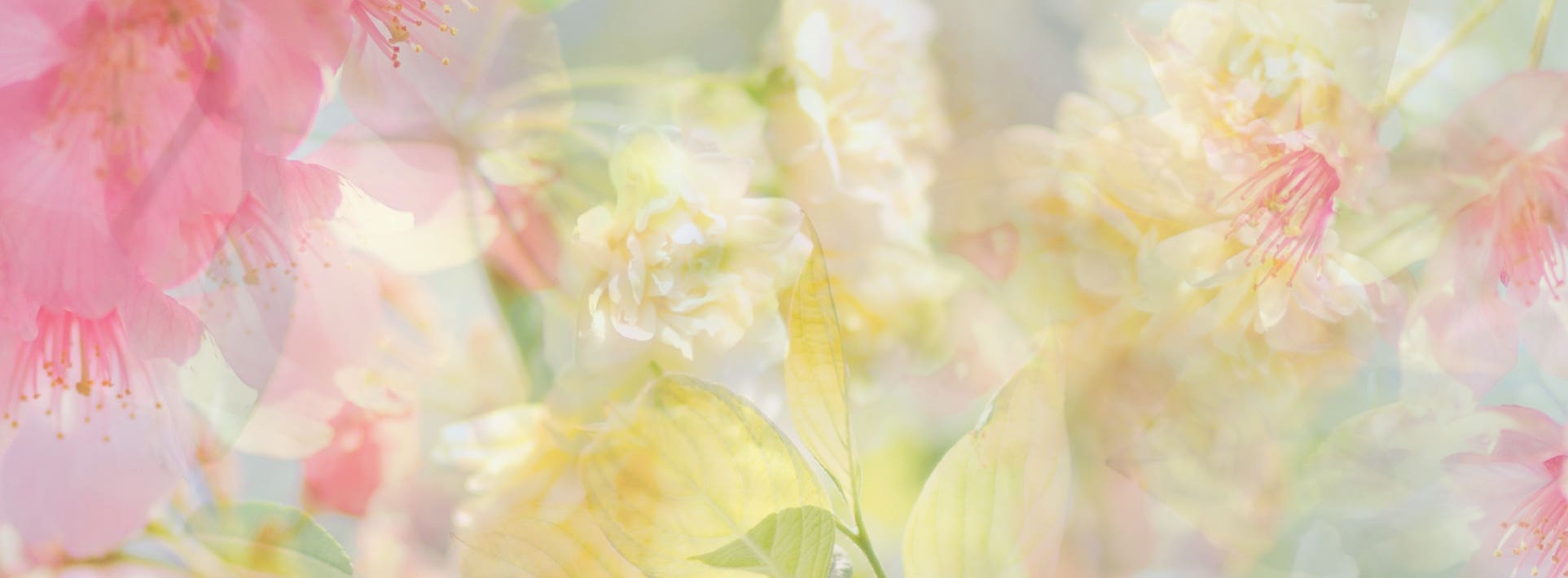 Las Florales